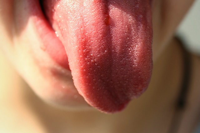 tongue-822441_640